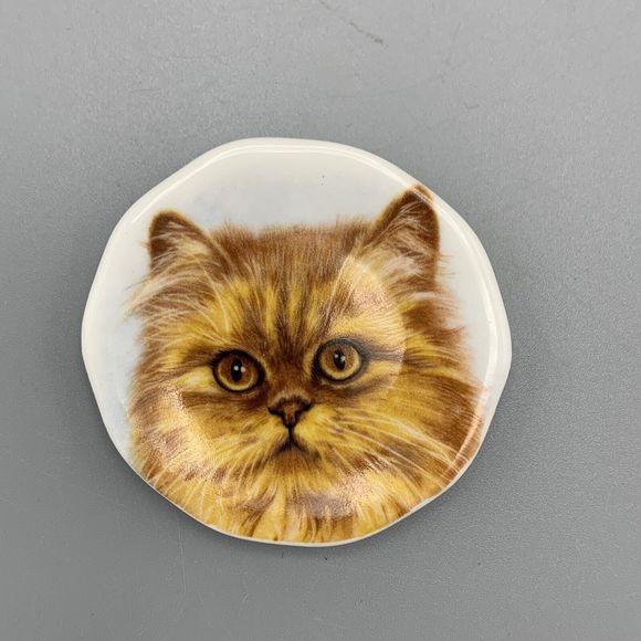 British Exchange Collection Fine Bone China Mini Orange Cat Plate Staffordshire - Picture 1 of 9